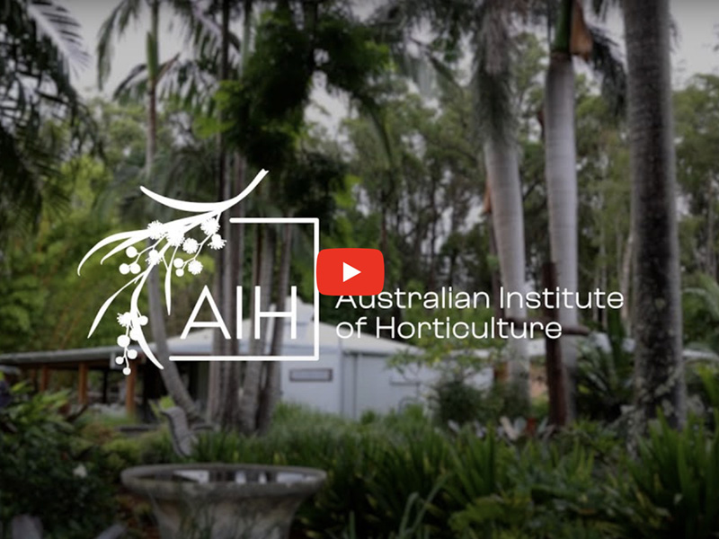 AIH Awards | The Link Project