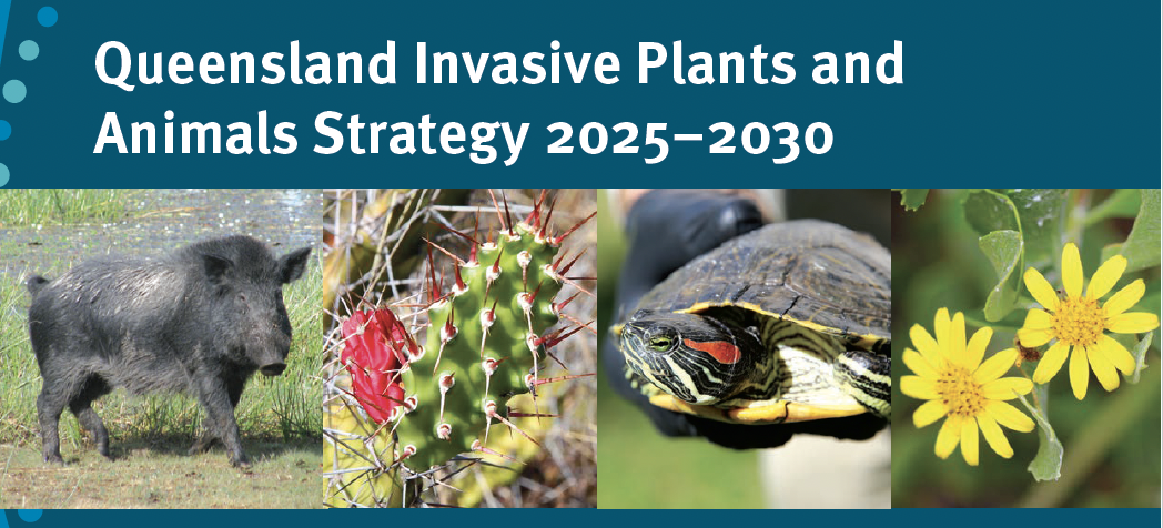 Qld Invasive Plants and Animals Strategy 2025