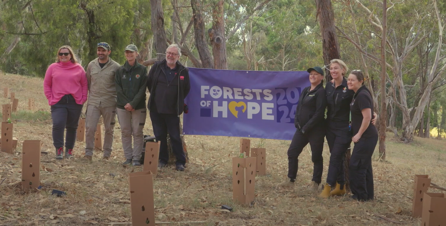 A Legacy of Hope: Forests of Hope