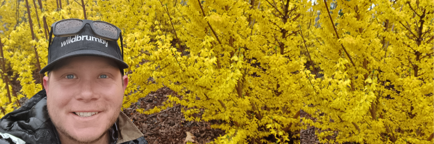 AIH Scholarship Winner 2025 Announced