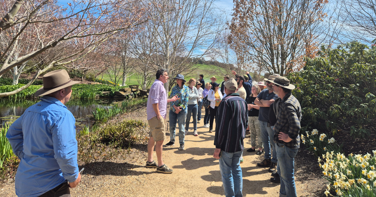 AIH President’s Message for 2026